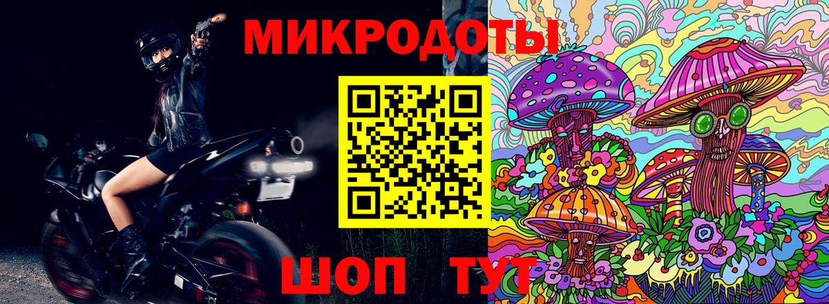Галлюциногенные грибы Cubensis Серов